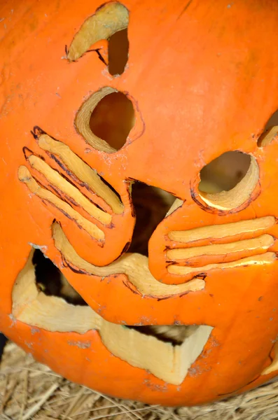 Kitty cat jack-o-lantern