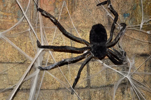 Arachnid inredning — Stockfoto