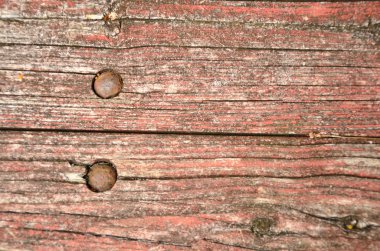 piknik masası arkaplanı