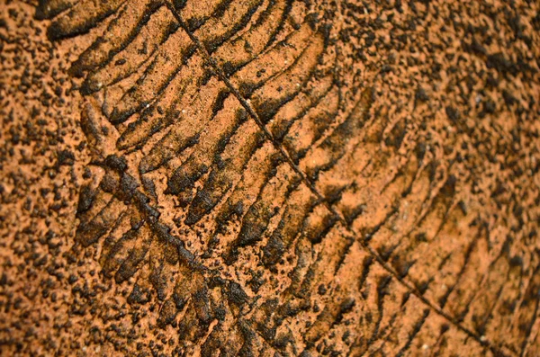 Fern print in concrete — Stock Photo, Image