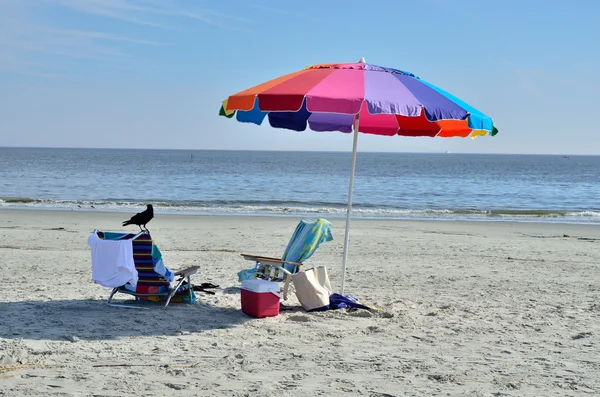 karga kapsamları plaj eşyaları dışarı