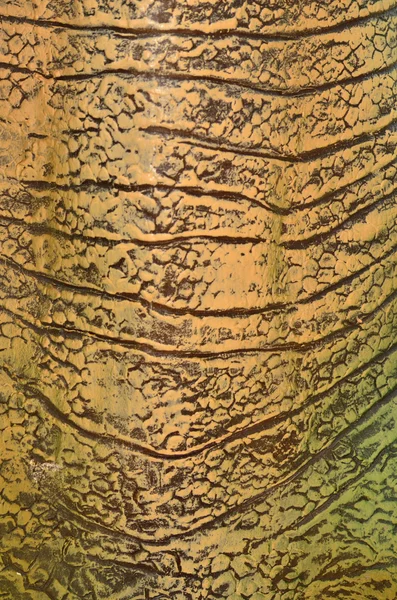 Зеленый и коричневый фон — стоковое фото