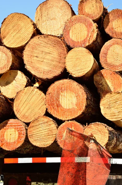 son günlüğü yük