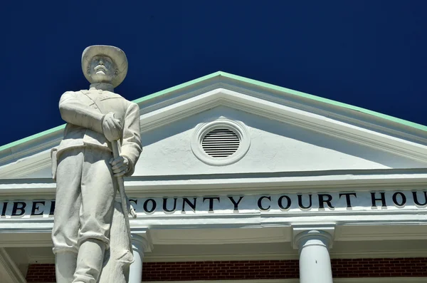 Confederate soldat staty i hinesville — Stockfoto