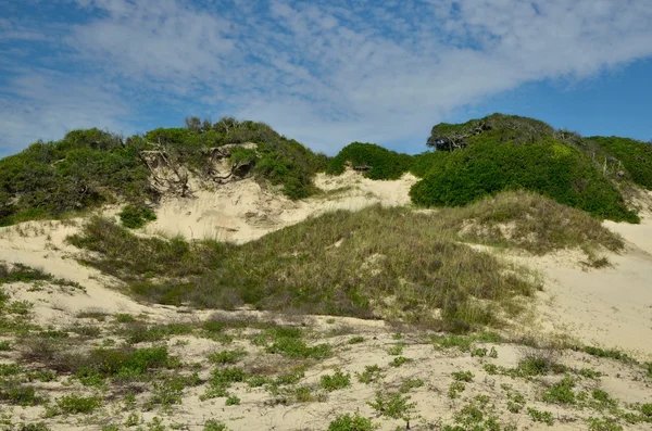 Dunes adlı tarihi Amerikan beach Florida