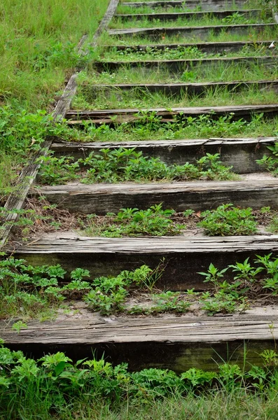 Earthen and wooden tie steps — Stock Photo, Image