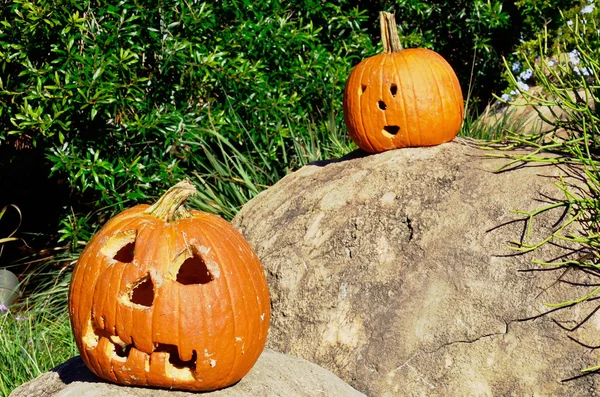 Decorazioni di Halloween — Foto Stock