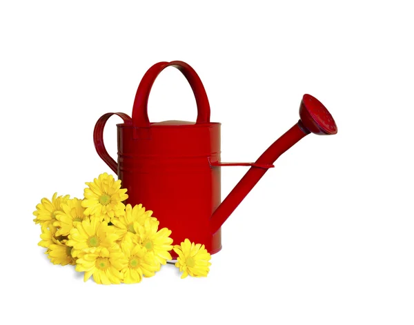 Rote Gießkanne mit gelben Blüten Stockfoto