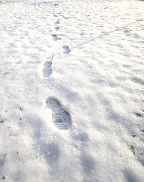 Voetafdrukken in de sneeuw Stockafbeelding