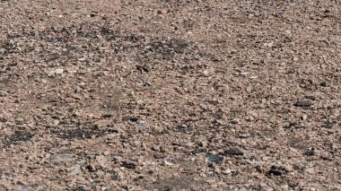 Sonbahar sabahı sokağın ortasında güneş ışığına cam parçaları serpiştirilmiş küçük taşlar.