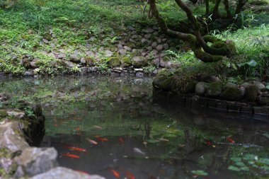Bulutlu bir yaz gününde yağmur sırasında dağlardaki parkta Japon bahçesi
