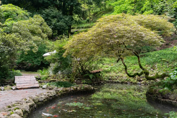 Japanese Garden Park Mountains Rainy Summer Day — Stock Photo, Image