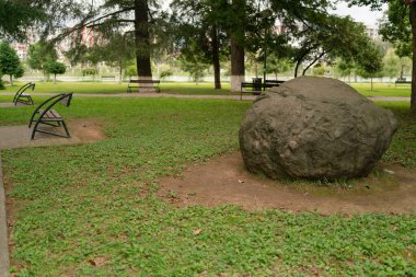 Güneşli bir yaz gününde, göllü bir şehir parkında yeşil çimenler ve ağaçlar.