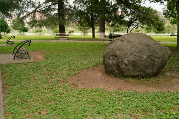 Güneşli bir yaz gününde, göllü bir şehir parkında yeşil çimenler ve ağaçlar.