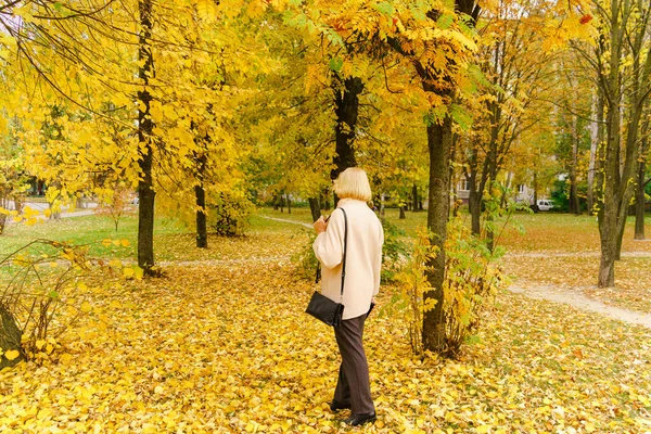Adult Woman Stands Fallen Autumn Leaves Golden Trees City Park — Stock Photo, Image