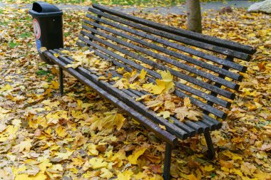 Ekim 'de bulutlu bir günde sonbahar yaprakları arasında bir şehir parkında ahşap bir bank.