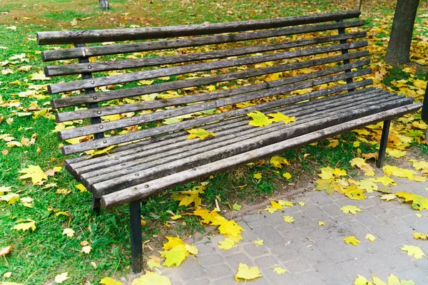 Drewniana Ławka Parku Miejskim Wśród Jesiennych Liści Pochmurny Dzień Października — Zdjęcie stockowe
