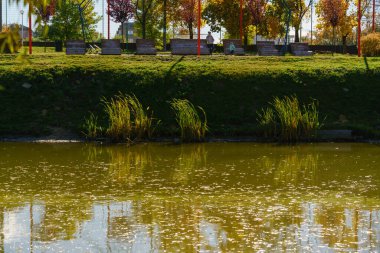 Sahilde sonbahar ağaçları ve güneşli bir günde sonbahar yapraklarıyla göl yüzeyine yansıyan gökyüzü.