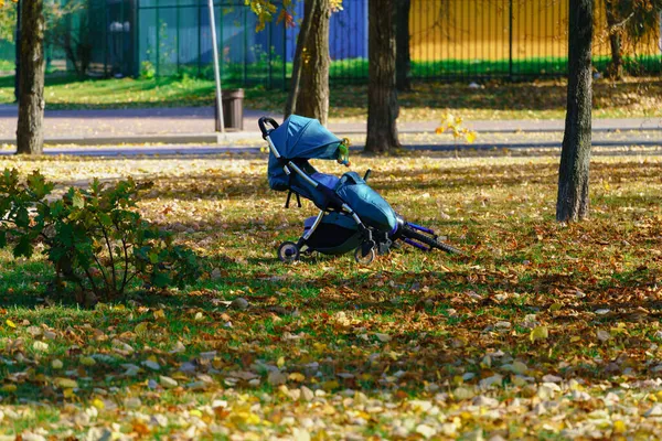 Baby Sleeping Baby Carriage Autumn Park Sunny Day — Stock Photo, Image