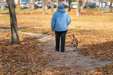 Mavi ceketli yaşlı bir kadın, bir sonbahar parkında düşen yaprakların arasında bir köpeği gezdirir.