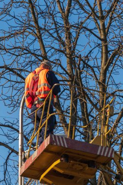 Bir elektrikçi, yaprakları ve mavi gökyüzü olmayan yoğun bir ağaç tepe örtüsünün önünde bir kamyon vincinin hidrolik platformunda bir ampulü tamir eder.