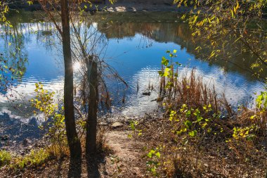 Güneş, beyaz bulutlar ve sonbahar ağaçları şehir parkındaki göletin yüzeyine yansıyor.