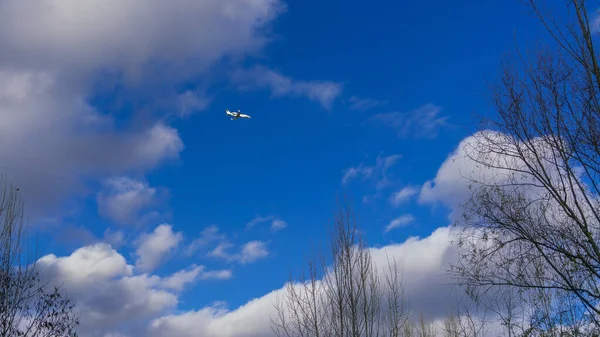 Petit Avion Réaction Dans Ciel Nuageux Dessus Des Arbres Automne — Photo