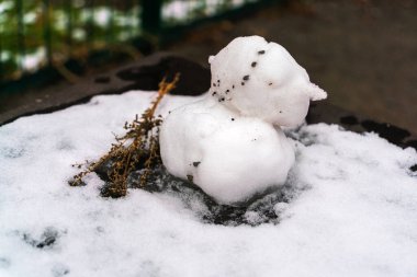 Kardan adam ve kuru çimen dalları bulutlu bir kış gününde oyun alanında