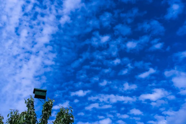 Green Birdhouse Top Green Tree Background Bright Blue Sky Clouds — Fotografia de Stock