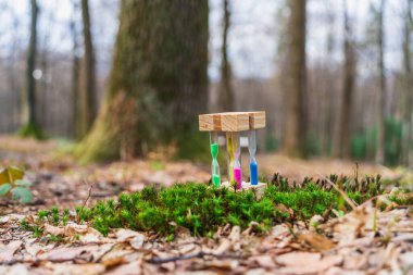 Baharın başında ormandaki kuru yaprakların arasında yeşil çimlerin üzerinde çok renkli kum saati. Zemin seviyesi görünümü