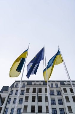 Avrupa Birliği bayrağı ve rüzgarda dalgalanan iki Ukrayna bayrağı, sayısız penceresi olan resmi bir binanın ışıklı duvarına karşı. Dikey yönelim, alt taraf görünümü