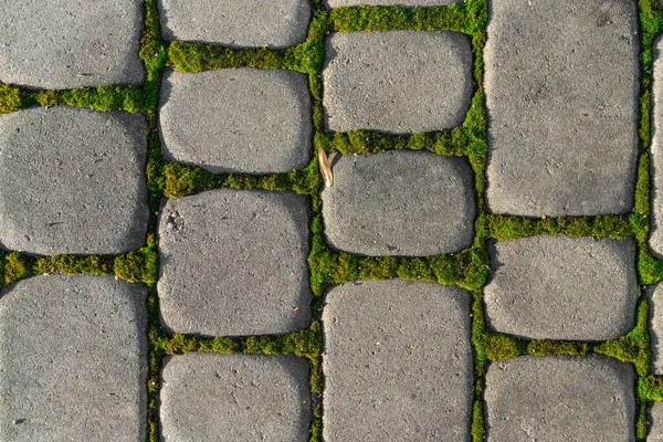 Hierba Verde Entre Las Piedras Camino Pavimentado Vintage Vista Desde —  Fotos de Stock