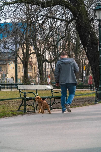 Homme Promène Son Chien Dans Une Rue Ville Jour Printemps — Photo