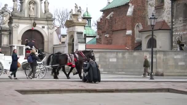 ポーランドのマロポルスカ 2022年3月 ウクライナ難民が旧市街クラクフの路上でアコーディオンを演奏し 馬車が通過し 人々は歩く — ストック動画