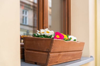 Krakow, Polonya 'nın dışındaki pencere pervazında renkli çiçeklerle dolu ahşap bir kutuyla sarı bir duvara yakın plan.