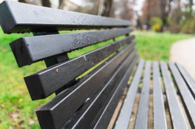 Yağmur damlalı bir park bankının yakın çekimi, seçici odak