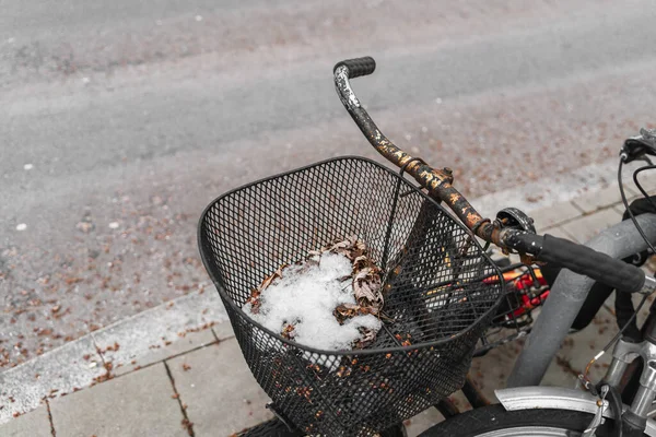 Сніг Листя Минулого Року Чорному Кошику Старого Велосипеда Кермі Слідами — стокове фото