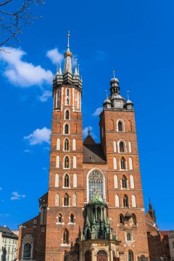 Krakow 'un turist sembolü - eski kasabanın ana pazar meydanında Aziz Mary Bazilikası, ön planda bahar ağacı dalı, mavi gökyüzünde beyaz bulutlar, Avrupa' da seyahat. Dikey Yönlendirme