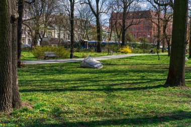 Gri çöp torbası şehir parkında yeşil bir çimenlikte yatıyor. Güneşli bir bahar günü, şehir ulaşımının ve evin arka planında