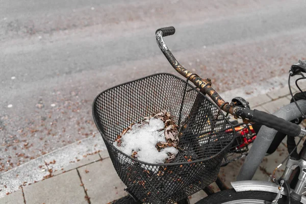 Neve Foglie Dello Scorso Anno Nel Cestino Nero Una Vecchia — Foto Stock