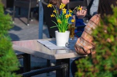 Sarı nergis, beyaz seramik bir tencerede akşam güneşini aydınlatır, masada elinde cep telefonu olan bir kız cam bir kül tablasının yanında.