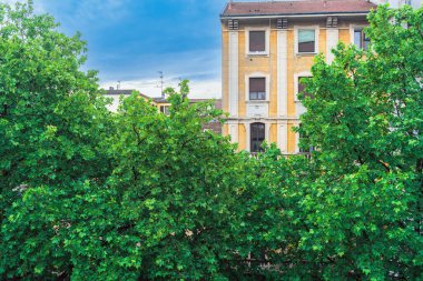 Akçaağaç yapraklarının kalın yay yapraklarının arkasında, sarı taştan yapılmış, pencereli ve panjurlu klasik bir bina Milan İtalya 'da sabahın erken saatlerinde bulutlu bir gökyüzüne karşı.
