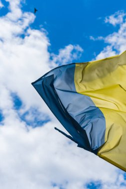 Ukrayna bayrağı, güneşli bir günde, beyaz bulutlu mavi gökyüzüne ve yalnız bir güvercine karşı rüzgarda dalgalanıyor. Ukrayna dikey yöneliminin büyük sarı-mavi ulusal bayrağı