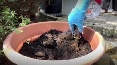 Güneşli bir sabahta evin bahçesindeki açık bir tencereye çiçek dikmek için toprağı hazırlamak, küçük bir bahçe küreği eldeki toprağı gevşetiyor. Boş zamanlarınızda bahçe işleriyle uğraşın.