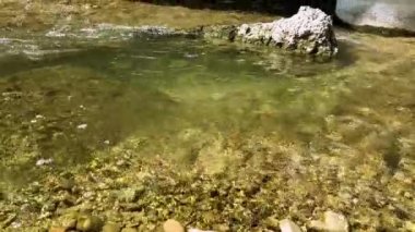Güneşli bir sabahta İtalya 'da bir yol köprüsünün altında kayalık bir sahilin yakınında hızlı akan bir dağ nehri ile yakın çekim. Bir dağ nehrinin ağzında temiz ve berrak bir su akıntısı