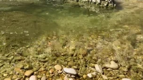 Gros Plan Avec Écoulement Rapide Une Rivière Montagne Près Rivage — Video