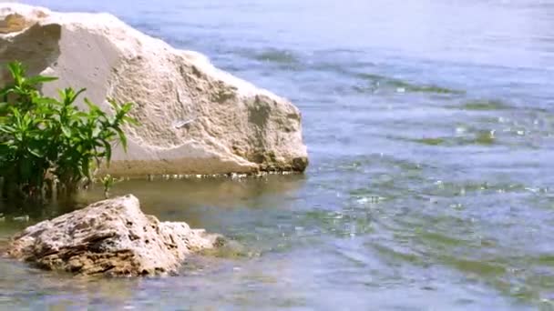Κοντινό Πλάνο Γρήγορη Ροή Νερού Ενός Ορεινού Ποταμού Κοντά Στη — Αρχείο Βίντεο