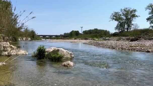 Sunny Morning Italy Fast Flow Clear Water Mouth Mountain River — Stock Video