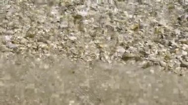 Sahil şeridi yakınlarındaki güneşli bir günde, sakin bir deniz sörfünün gürültüsü, deniz taşları şeffaf deniz suyunda güneşte parıldıyor.