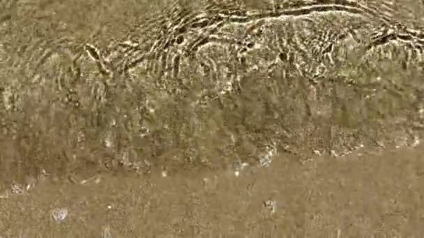Eine Transparente Meereswelle Spült Sanft Den Sand Des Küstenmeeres Die — Stockvideo